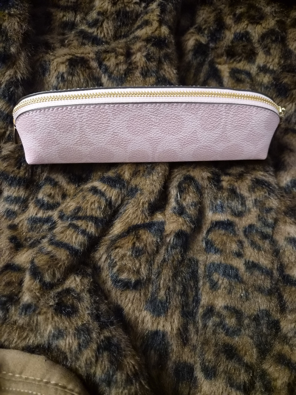 Coach Blush Pink Pencil Case